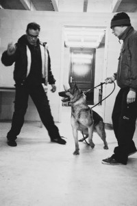 police dog handler training